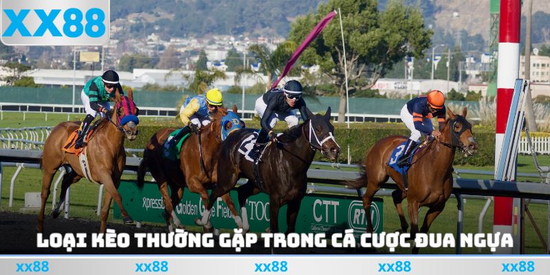 Loại kèo thường gặp trong cá cược đua ngựa