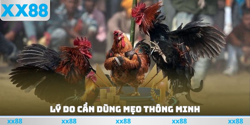 Lý do cần dùng mẹo thông minh